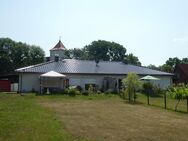 Heimat für Naturliebhaber und Pferdefreunde - Boitzenburger Land