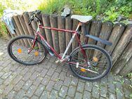 Oldtimer-MTB Shimano Longus - Offenbach (Main) Rosenhöhe
