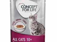 48 x 85 g Concept for Life - 10 € Rabatt! - All Cats 10+ in Soße