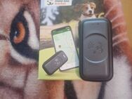 Tracker für Hunde - Ratingen