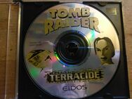 Tomb Raider - Terracide / PC Spiel - Essen