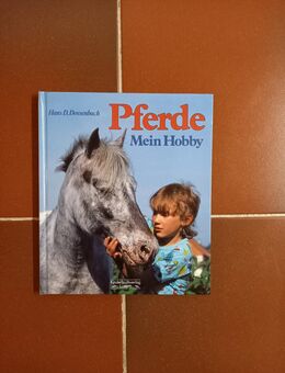 Pferde - Mein Hobby. Gebundene Ausgabe v. 1991. Kinderbuchverlag Luzern - Rosenheim