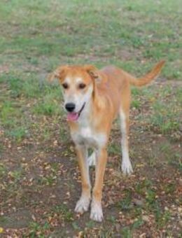 SVEN - Familienzeit ist genau jetzt - Overath