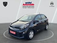 Kia Picanto, 1.2 Edition & Edition 7, Jahr 2020 - Wunstorf