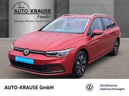 VW Golf Variant, 1.5 TSI Golf VIII Move, Jahr 2023 - Billerbeck