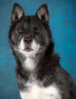 Socco - Mönchengladbach