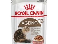 Royal Canin Ageing 12+ in Soße - Sparpaket: 48 x 85 g