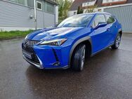 Lexus UX 300e Luxury Line - Nürtingen