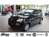 Fiat Panda, 1.0 Pandina Hybrid GSE 51kw, Jahr 2024 - Gütersloh