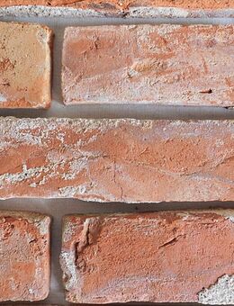Antik Riemchen Alte Rückbau Mauer Ziegel Klinker Wand gestaltung orig Feldbrand Handmade - Salzatal