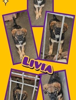 Süße Livia in Not! - Nürnberg