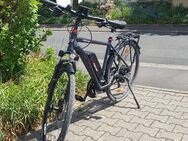 Fischer E-Bike Trekking ETH 1822 Damen/Herren - Kolitzheim