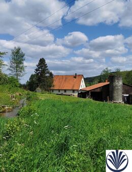 Historische Hofstelle mit arrondierten land-, forst- und teichwirtschaftlichen Flächen im LKR Nürnberger Land - Happurg