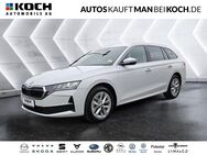 Skoda Octavia, 2.0 TDI Combi Selection, Jahr 2024 - Neuruppin