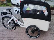 Lastenrad Triobike Boxter e enviolo - Frechen