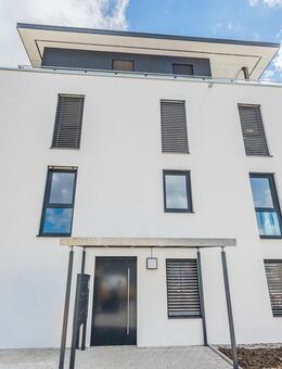 Mitten in Hilzingen! Fertiggestellte Neubauwohnung - Hilzingen