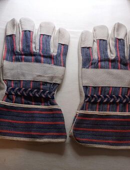 Arbeitshandschuhe Rindvollleder Lederhandschuhe 1 Paar Größe XL n - Essen