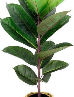 Kunstbaum Gummibaum, I.GE.A., Höhe 84 cm, Mit Übertopf, Ficus Elastica