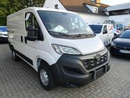 Opel Movano, C Cargo L1, Jahr 2024 - Hachenburg