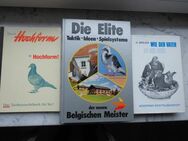 Brieftauben Taubensport Tauben 3 Bücher zus. 12,- Vintage - Flensburg