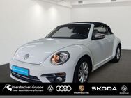 VW Beetle Cabrio 1.2 TSI Design - Kusel