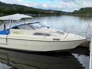 Sealine 195 Kajütboot - Mannebach (Landkreis Trier-Saarburg)