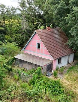 Ehemalige Gärtnerei mit Wohnhaus am Waldrand in Dessau-Kochstedt - Dessau-Roßlau