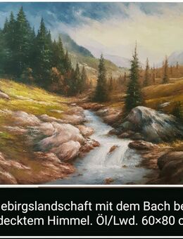 Gebirgslandschaft mit dem Bach und Bäumen bei bedecktem Himmel. - Nürnberg