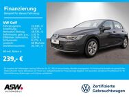 VW Golf, 1.0 Life eTSI, Jahr 2022 - Sinsheim