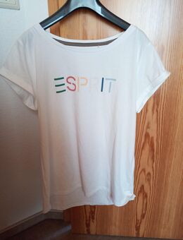 T-Shirt von Esprit - Homburg