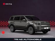 Hyundai Santa Fe, 1.6 T-GDI Blackline Plug-In-Hy Black Auto Magnetic Grey Metallic, Jahr 2022 - Kippenheim