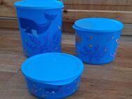 Tupperware 3tlg. Cubix Aufbewahrungs-Set Sealife *neu* leicht transparent - Mudersbach