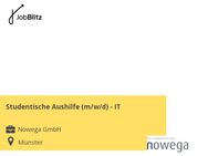 Studentische Aushilfe (m/w/d) - IT - Münster
