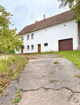 Bauernhaus mit großem Grundstück & vielfältigem Ausbaupotenzial in Vinningen - Vinningen