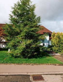 Besondere 3 Zi-Wohnung mit 130 qm EG Ortsrand Sulz a.N. - Sulz (Neckar)