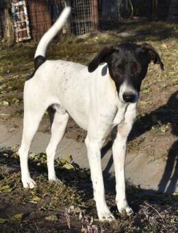 Móric - Wirbelwind voller Lebensfreude - Süderbrarup