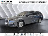 Skoda Octavia, 2.0 TDI Combi WINTER, Jahr 2024 - Ahrensfelde