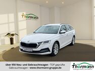 Skoda Octavia, 2.0 TDI Combi First Edition, Jahr 2020 - Stendal (Hansestadt)