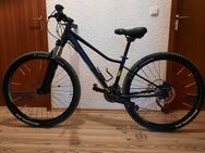 Mountainbike Superio MODO XC877 - München