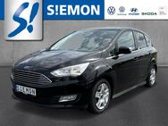 Ford C-Max, 1.5 EcoBoost Auto Titanium, Jahr 2019 - Warendorf