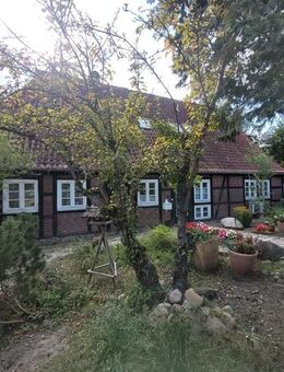 Interessantes Bauerhaus in Barendorf :-) - Barendorf