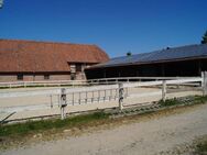 Reiterhof mit Innenstallungen, Reitplatz und ertragreicher PV-Anlage! Mein Haus = mein Makler! - Remlingen (Niedersachsen)
