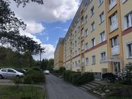 Sehr gepflegte 3-Zimmer-Wohnung mit Balkon Spitzgrund Coswig zu verkaufen! - Coswig