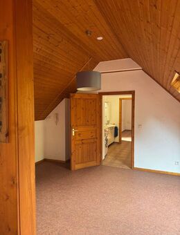 *** Schöne helle 2-Zimmer-Wohnung *** - Gerolstein