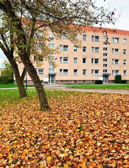 Key Royal: NEUER PREIS! perfekte Investition: NKM 82.863,60 Euro Mietsteigerungspotenzial!!! - Querfurt