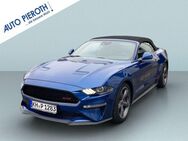 Ford Mustang Convertible 5.0 Ti-VCT V8 Aut. GT - Bad Kreuznach