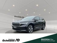 Skoda Enyaq, 85 82kWh Loft, Jahr 2024 - Niestetal