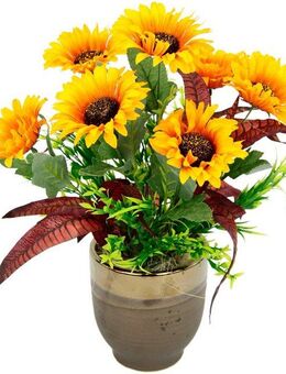 Gestecke Sonnenblumen Sonnenblume, I.GE.A., Höhe 40 cm, Im Topf aus Keramik