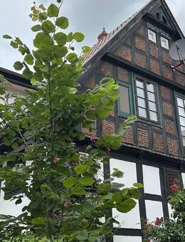 Historsiches Fachwerkhaus im Herzen von Melle-Buer! - Melle