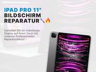 iPad Pro Display Reparatur in Weil am Rhein, Lörrach und Basel Region - Weil (Rhein) Zentrum